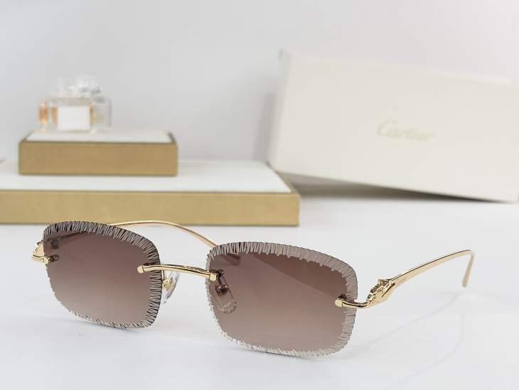 Picture of Cartier Sunglasses _SKUfw77838373fw